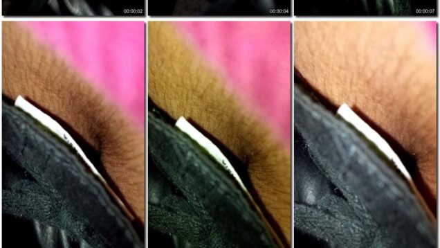 2226615e-4c9f-11ec-a8d1-0800278f7705