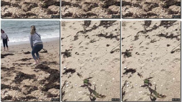 31c8e098-4ca2-11ec-a8d1-0800278f7705