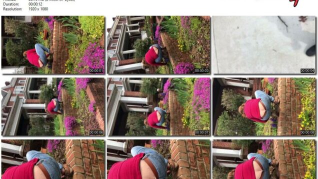 3b5e9274-4c9d-11ec-a8d1-0800278f7705