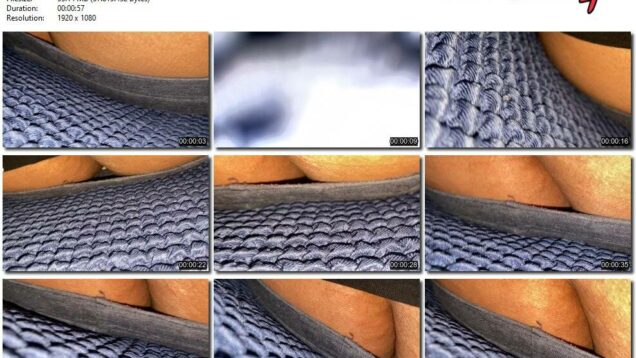 40b86dd8-4c9f-11ec-a8d1-0800278f7705