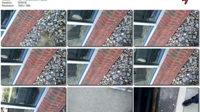 703d1578-4ca3-11ec-a8d1-0800278f7705