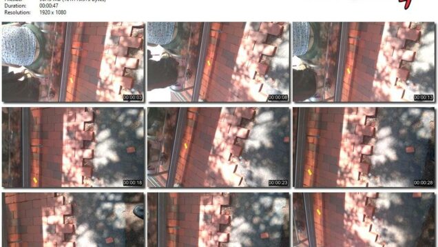 83251e56-4ca3-11ec-a8d1-0800278f7705