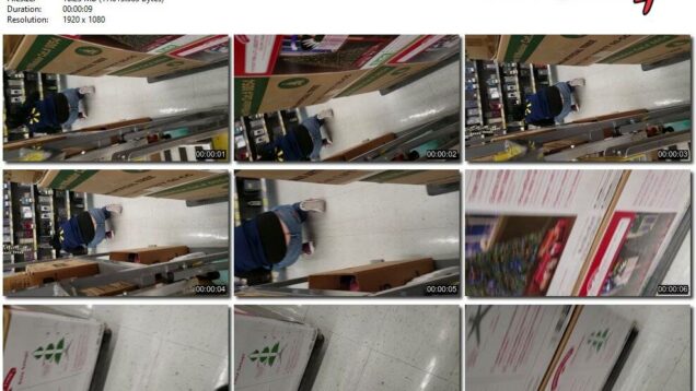 9a8fa5fc-4c99-11ec-a8d1-0800278f7705