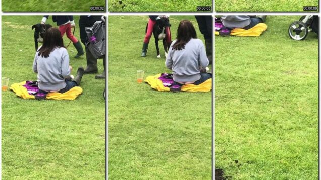 b413bab0-4ca1-11ec-a8d1-0800278f7705