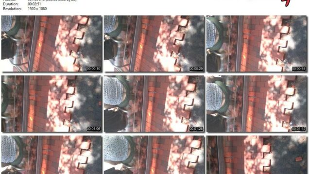 d663aa88-4ca3-11ec-a8d1-0800278f7705