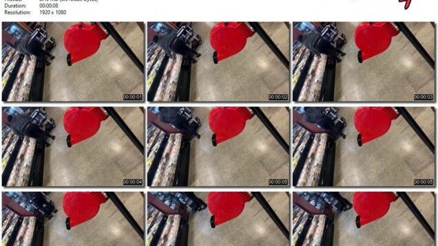 56e06668-6420-11ec-a8d1-0800278f7705