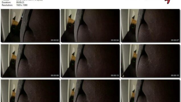 6f986554-6423-11ec-a8d1-0800278f7705