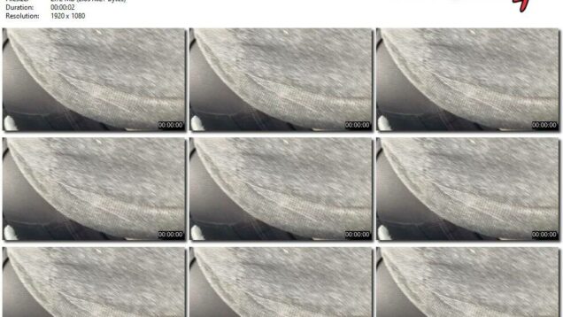 8cd74c42-6424-11ec-a8d1-0800278f7705