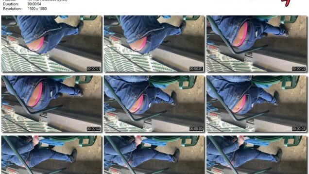 c3774190-641e-11ec-a8d1-0800278f7705