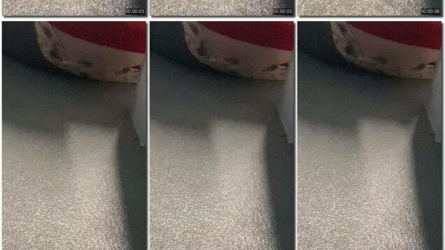 d0cb8c8c-6425-11ec-a8d1-0800278f7705