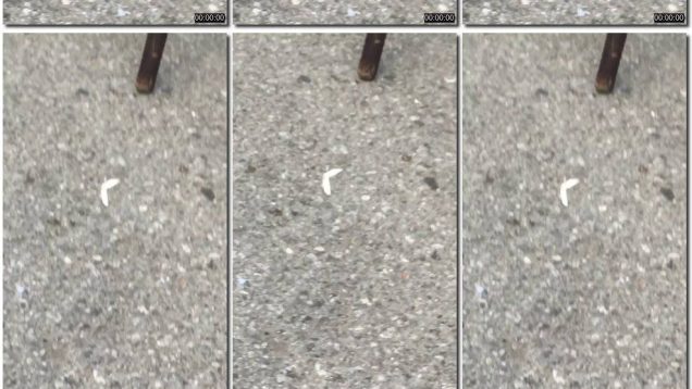 1ee8ca3c-b288-11ec-8b3c-0800275bf759