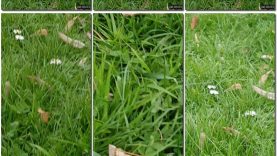 5470c64a-b289-11ec-8b3c-0800275bf759