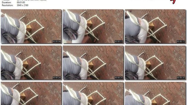 637d39b2-b28d-11ec-8b3c-0800275bf759