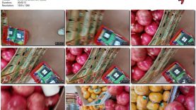 77c6fe0c-b289-11ec-8b3c-0800275bf759