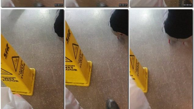 a79e8c42-09e3-11ed-8b3c-0800275bf759