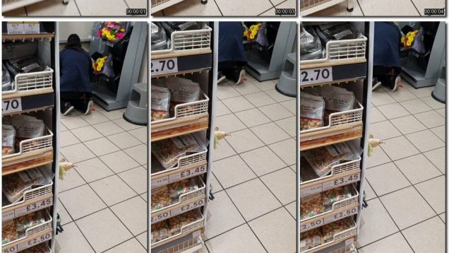 ce15fc7a-09e3-11ed-8b3c-0800275bf759