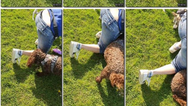 e4ea54dc-09e3-11ed-8b3c-0800275bf759