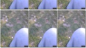 22424894-49b3-11ed-a410-0800275bf759