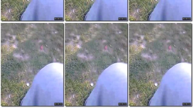 22424894-49b3-11ed-a410-0800275bf759