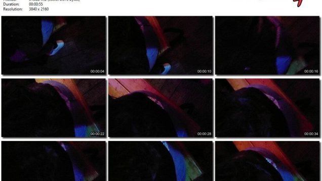 352c827e-4997-11ed-a410-0800275bf759