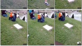 4002ef28-49b3-11ed-a410-0800275bf759