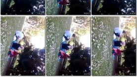 47e63e8e-49b3-11ed-a410-0800275bf759