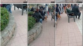 4b13be14-49b4-11ed-a410-0800275bf7591