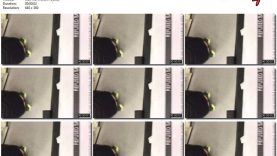 5db8ae08-49b4-11ed-a410-0800275bf759