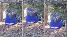 5ee7f80c-49b3-11ed-a410-0800275bf759