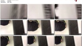 60ad12d4-49b4-11ed-a410-0800275bf759