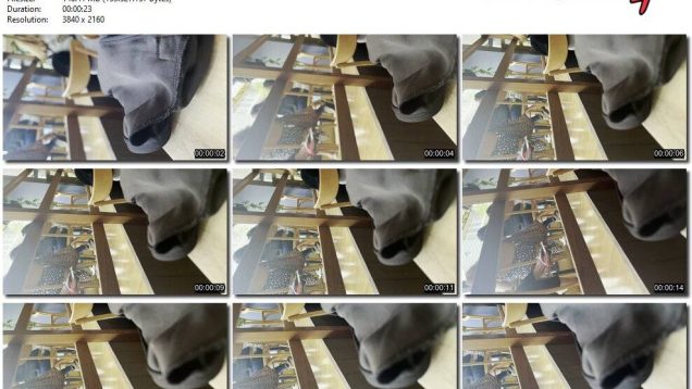 77935330-6865-11ed-a410-0800275bf759