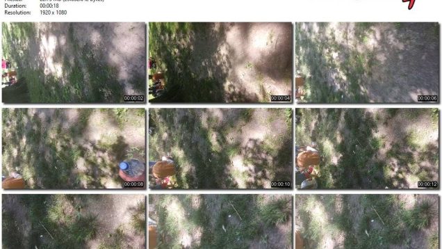 ecfc212e-6879-11ed-a410-0800275bf759