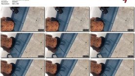 117dc854-9458-11ed-a410-0800275bf759