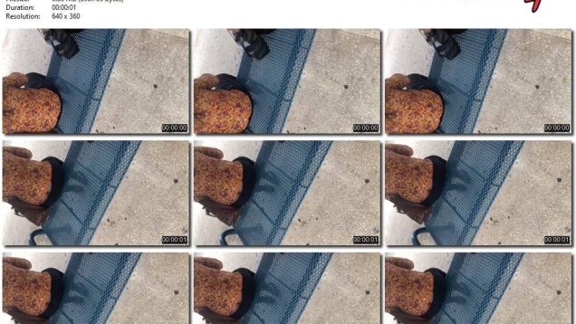 117dc854-9458-11ed-a410-0800275bf759