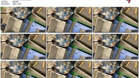 16d0bdac-9458-11ed-a410-0800275bf759