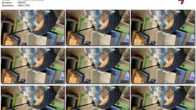 1b6d38fe-9458-11ed-a410-0800275bf759