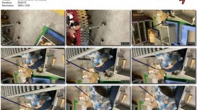 21a0184a-9458-11ed-a410-0800275bf759