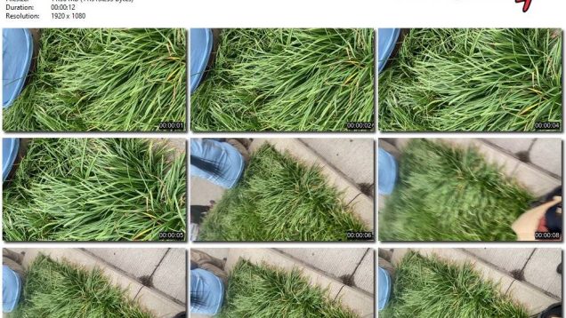 23c41ee4-9455-11ed-a410-0800275bf759