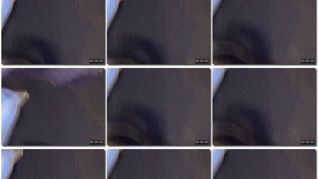 7c6f2ee2-9452-11ed-a410-0800275bf759