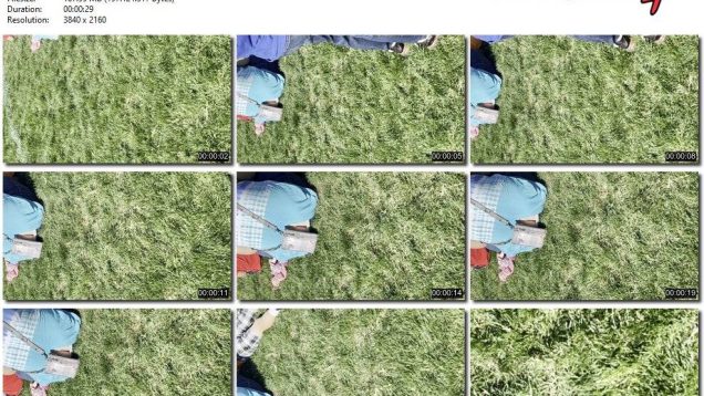 9d451948-9451-11ed-a410-0800275bf759