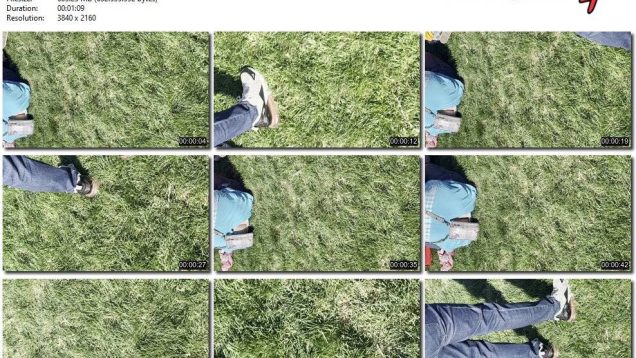 a53247a2-9451-11ed-a410-0800275bf759