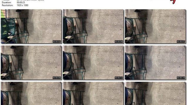 c3b07736-9455-11ed-a410-0800275bf759