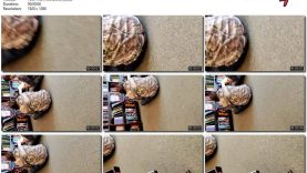 cc3f5c16-9458-11ed-a410-0800275bf759