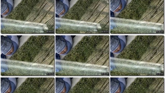 d44779b0-9454-11ed-a410-0800275bf759