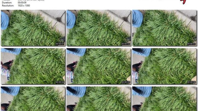 d78008cc-9454-11ed-a410-0800275bf759