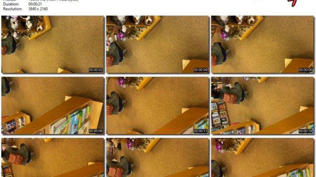 dad72256-9451-11ed-a410-0800275bf759