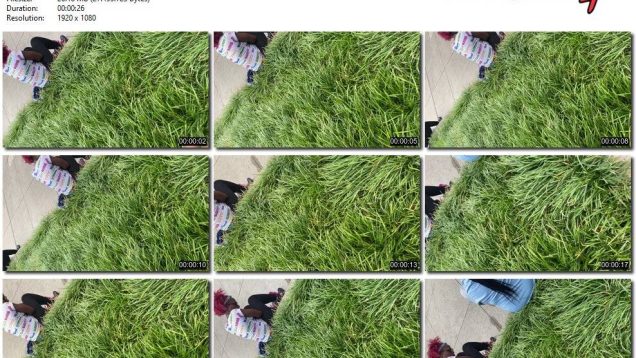 dd1a1182-9455-11ed-a410-0800275bf759