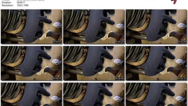 e5f85a2a-9455-11ed-a410-0800275bf759