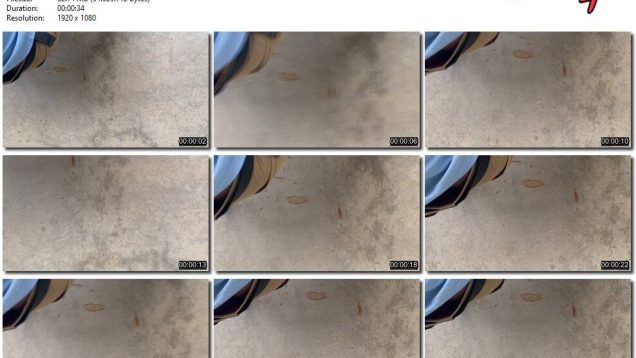 f8812e88-9455-11ed-a410-0800275bf759