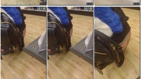 47013430-ba90-11ed-9081-0800275bf759